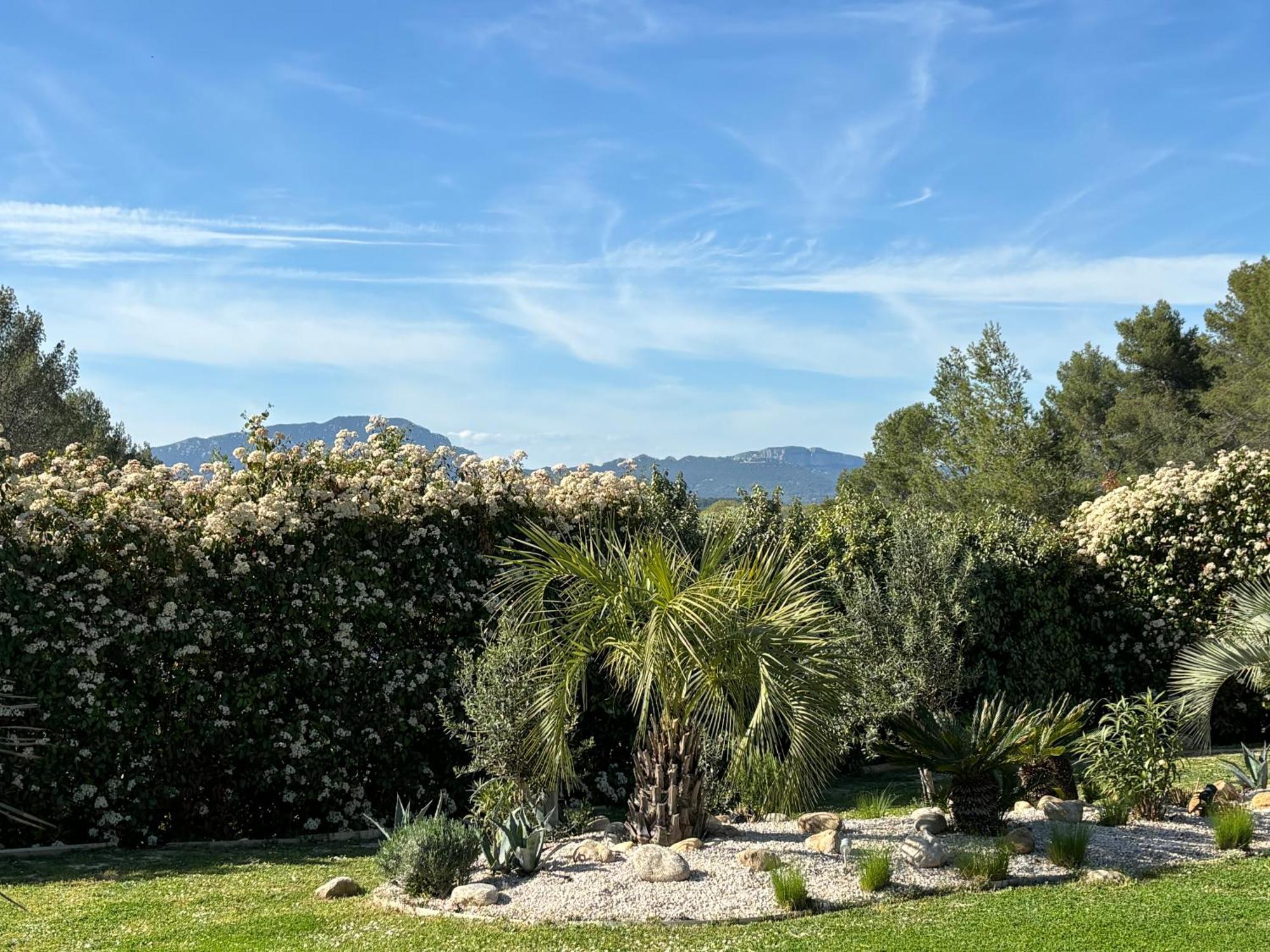 Joli Havre De Paix Villa Prades-le-Lez Buitenkant foto